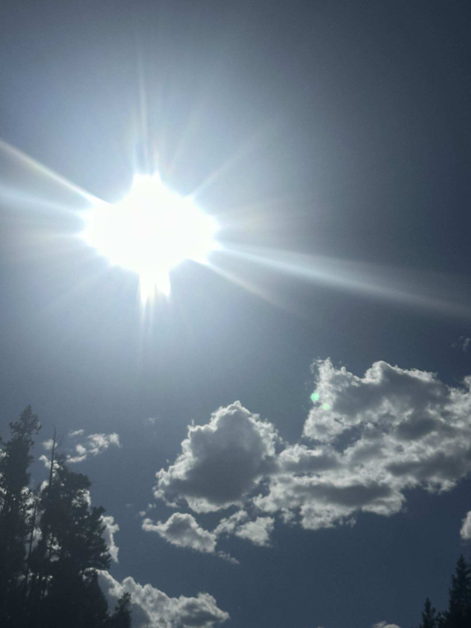 Yellowstone And Grand Teton National Parks - Image 1481